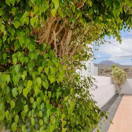 Apartamento Apartamento 5 Bajo *
